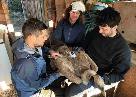 pose de balise © Maxime Raux