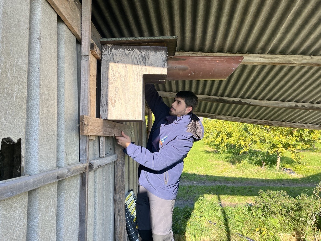 Installation nichoir à Chevêche © Laurent Thommeret