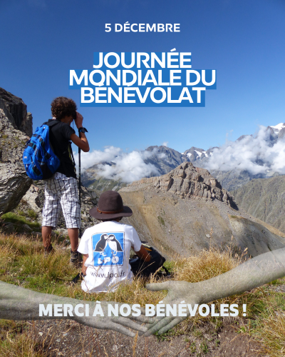 Journée mondiale du bénévolat 2025 © Benjamin Kabouche