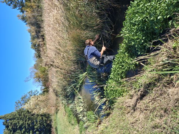 Recherche d’indices de présence de Campagnol amphibie © GALVIN A.