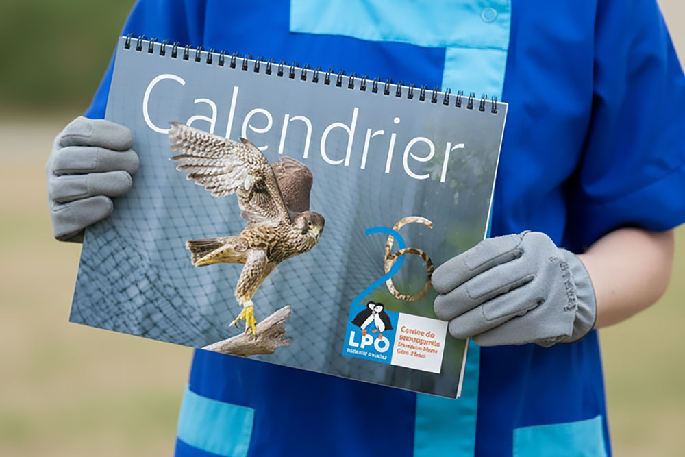 Calendrier 2026 du Centre de sauvegarde - LPO PACA