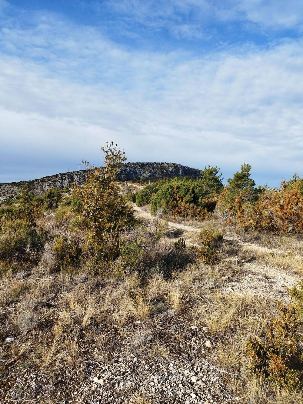 tournage 02 decembre biodivsport © julie Schubas