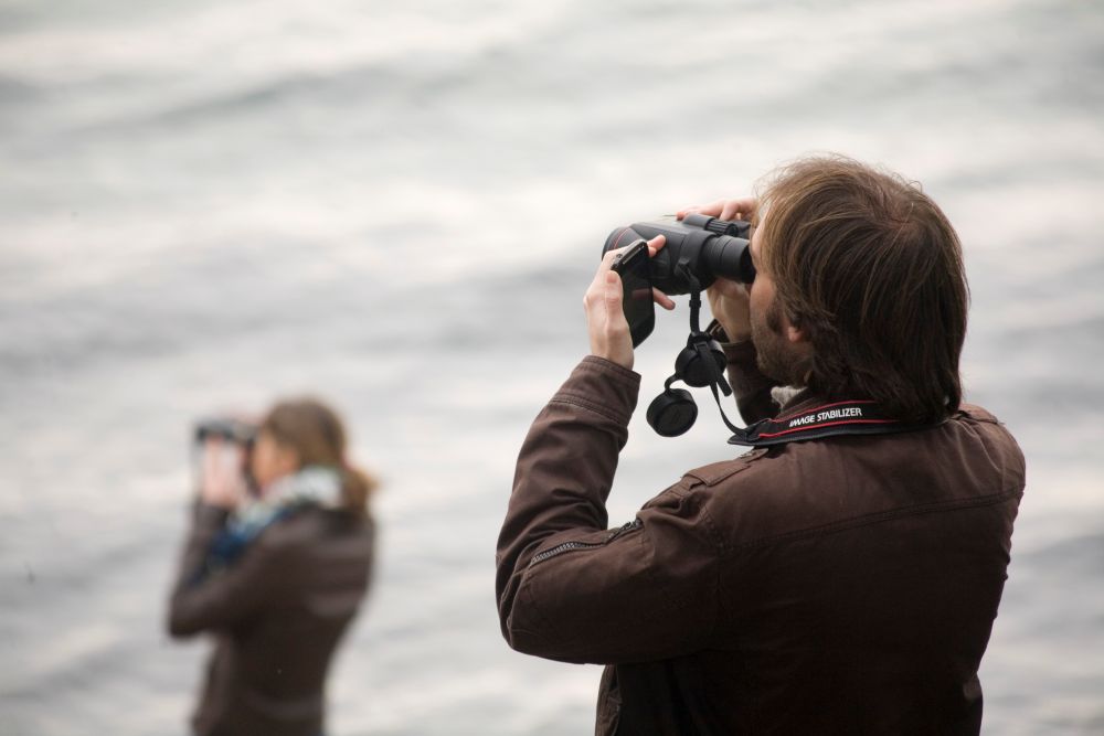 Comptages  Etang de Berre - François GRIMAL