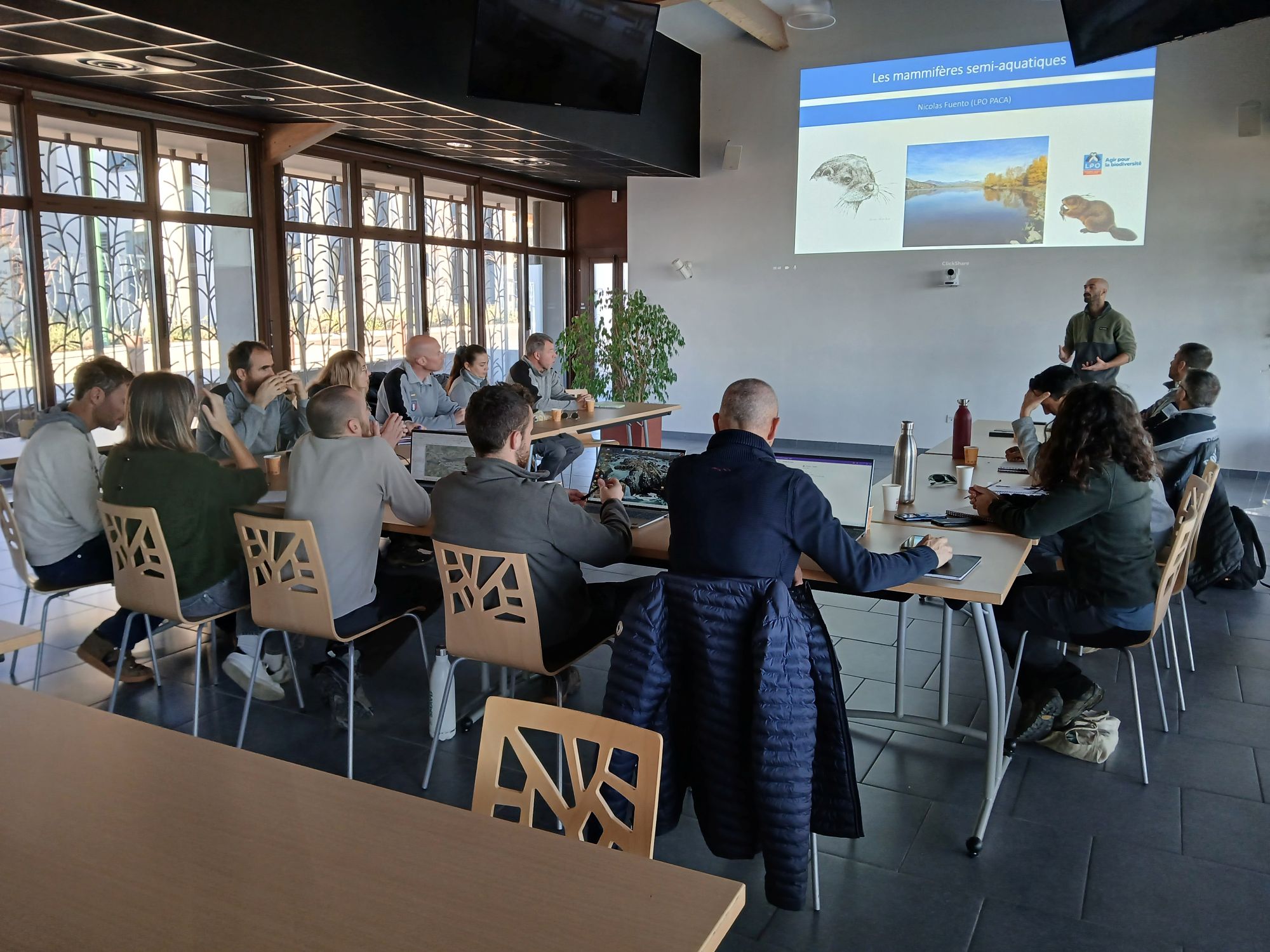 Matinée en salle dans les locaux du SMAVD © LPO PACA