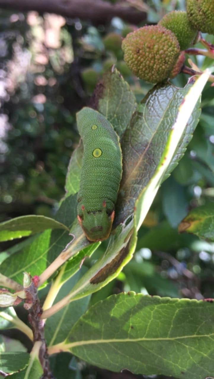 8bc8a1d7 774f 4de2 bae2 177a3d6c21bf