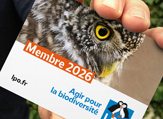 Carte adhèrent LPO 2026