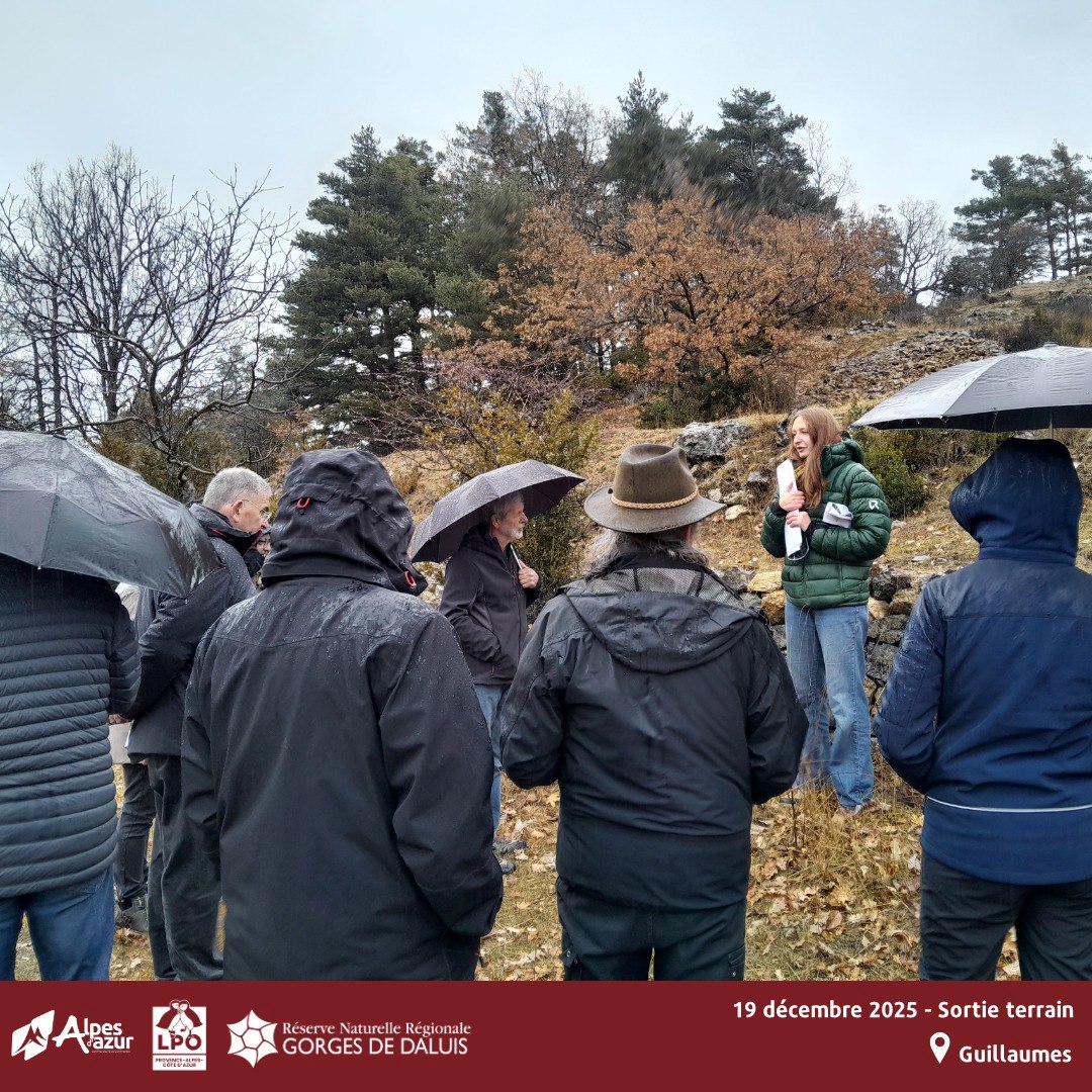 Comité consultatif du 19 décembre 2025_RNR gorges de Daluis