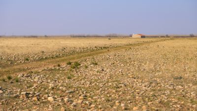 Les coussouls de Crau constituent la seule steppe de France - © LPO France