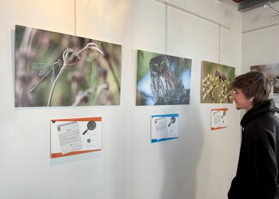 Exposition ces invisibles qui nous entourent - Sarah Bagnis Exposition ces invisibles qui nous entourent - Sarah Bagnis