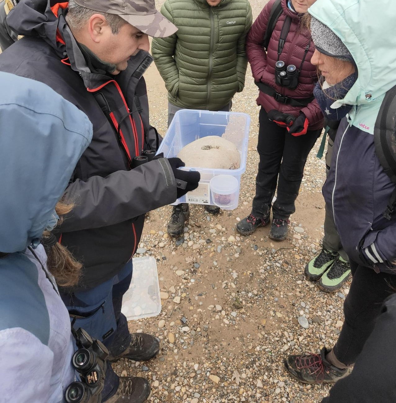 Inventaire © Maxime Raux