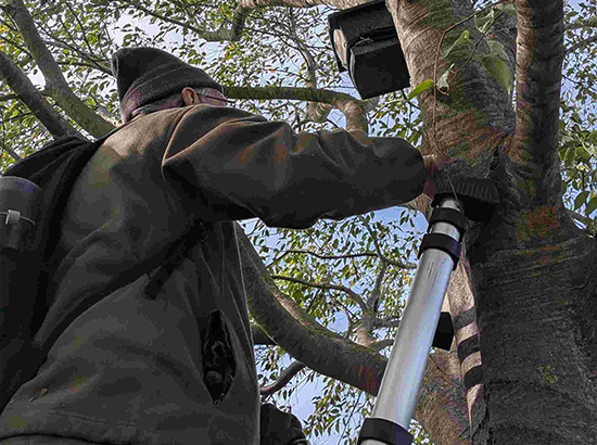 Nettoyage de nichoir © Line Conforti