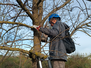 suivi nichoirs smerv© Aurelie Johanet 