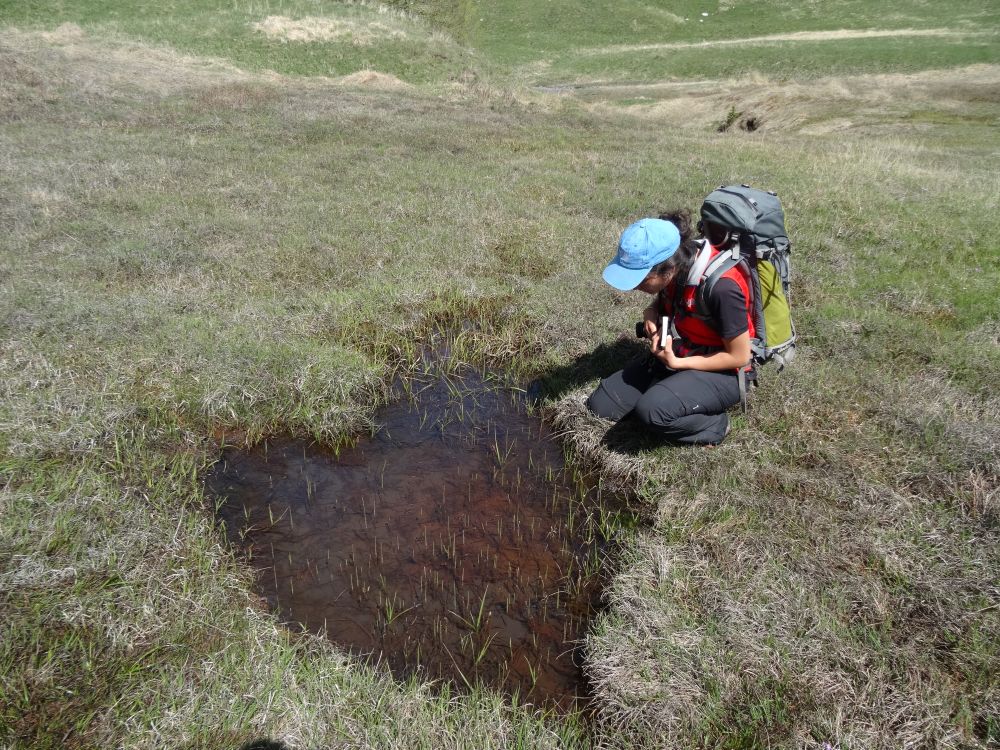Observation de la zone humide - Cecile Memarchand