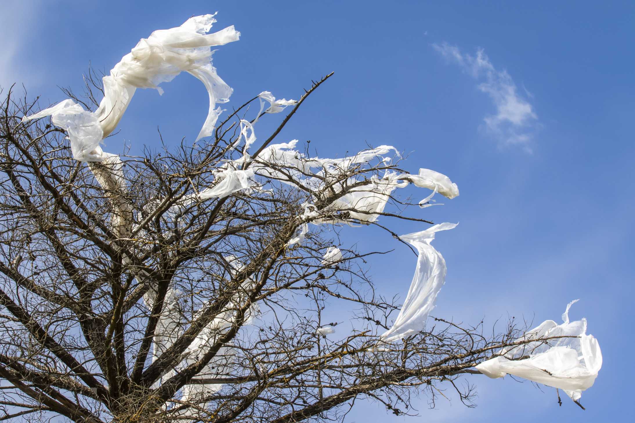 pollution déchets (c) A.Simon