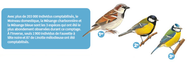 top 3 hiver nettye600pix