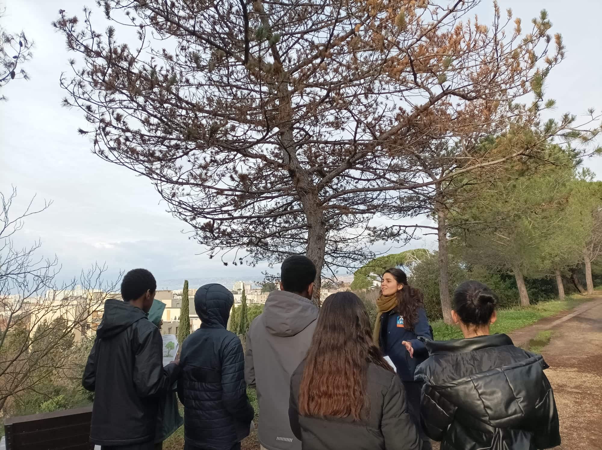 Sortie terrain avec les élèves de cinquième du collège Edouard Manet à Marseille