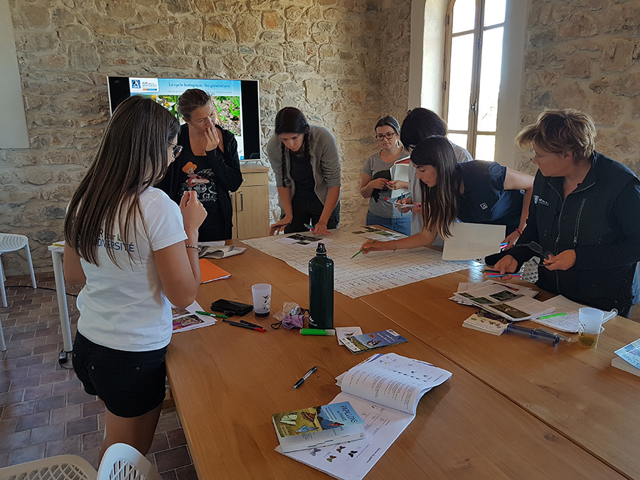 Réunion (c) LPO PACA