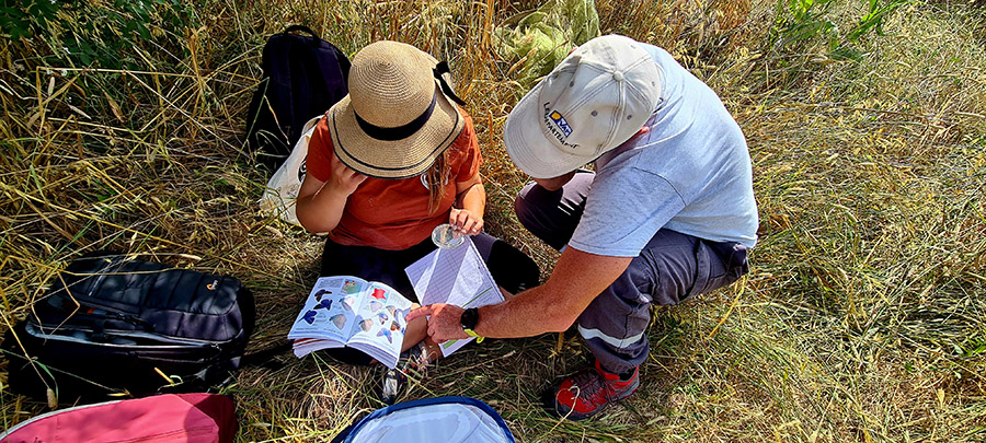 Inventaire (c) Marion Fouchard