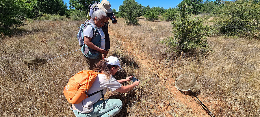 Inventaire (c) Marion Fouchard