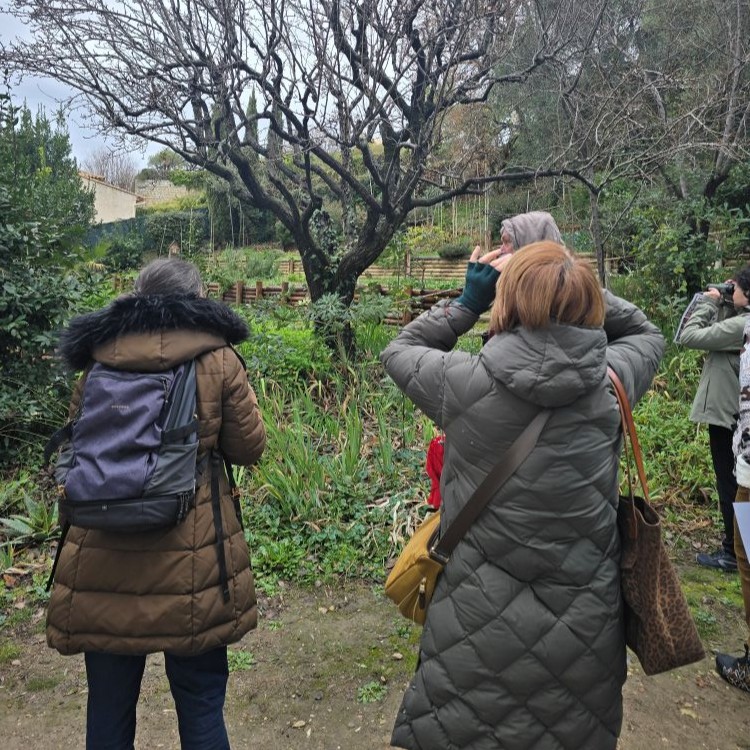 Comptage oiseaux des jardins Cagnes-sur-Mer © Walid Zekryty
