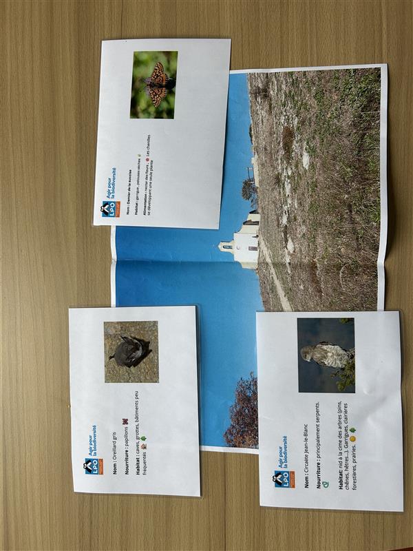 pelouse sèche jeu des habitats