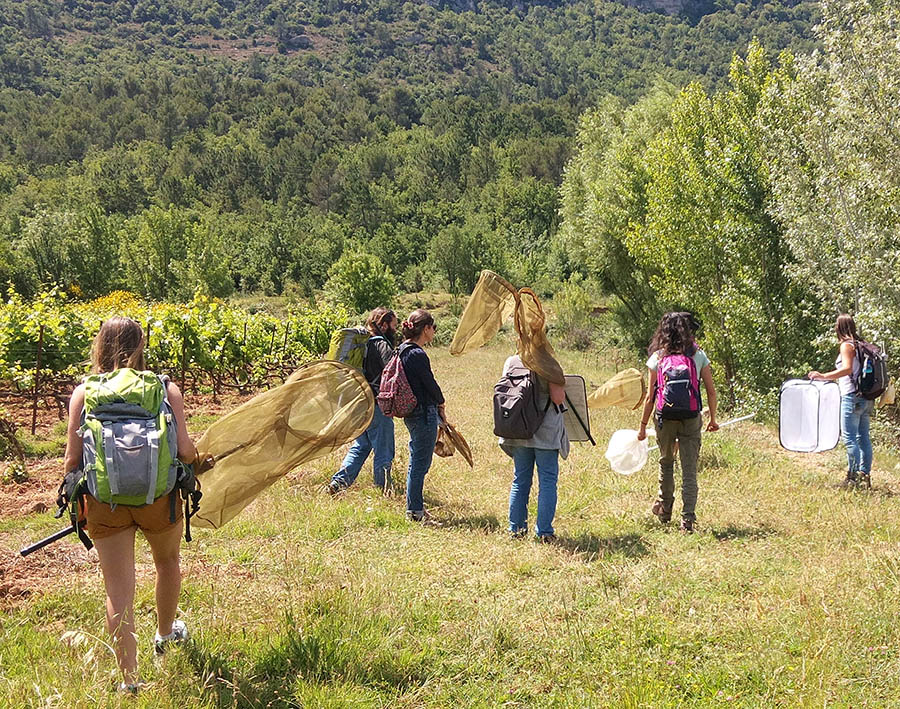 Inventaire (c) LPO PACA