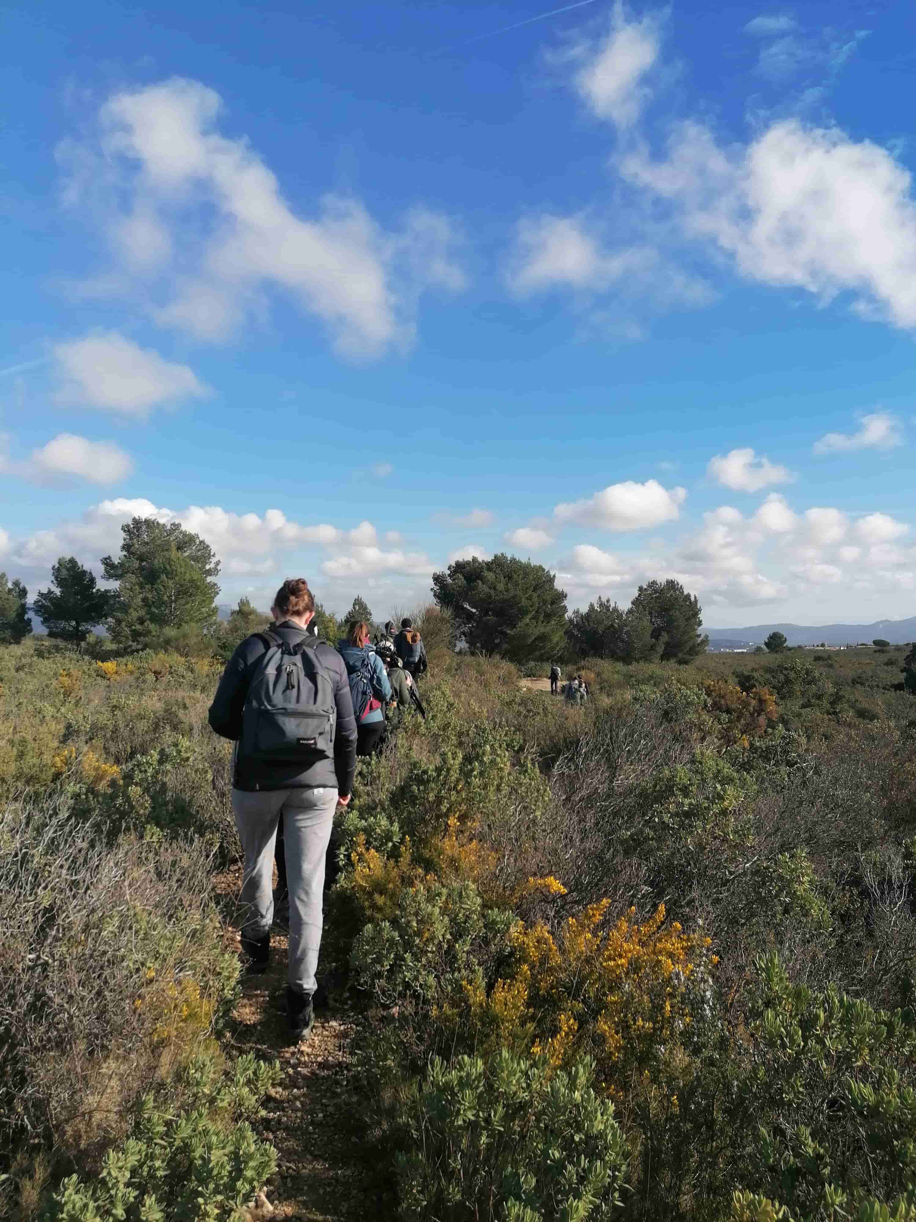Les participants de la semaine de l'école de l'ornithologie intensive à Marseille lors de la sortie au massif de l'Etoile (©Rose Bergeron)