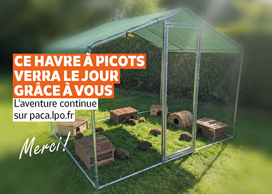 Le havre à picots verra le jour grâce à vous ! Merci ! - Photo d'illustration