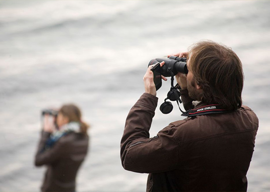 Comptages Etang de Berre - François GRIMAL