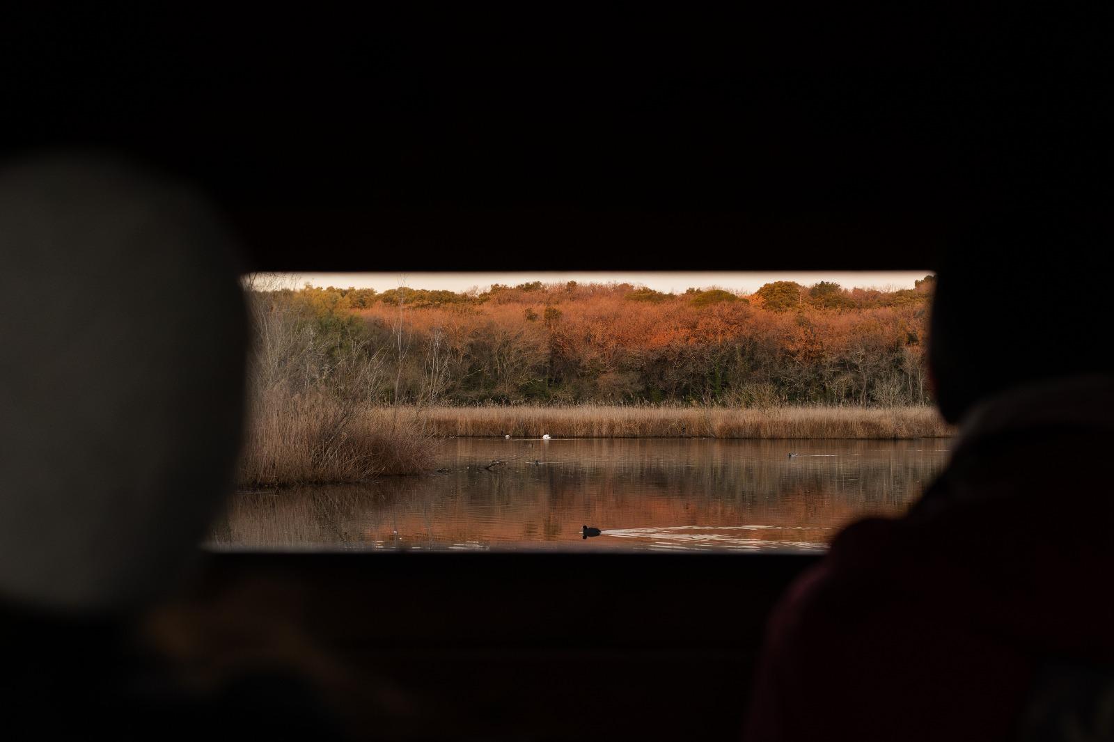 Observatoire - Laurent Del Fabbro