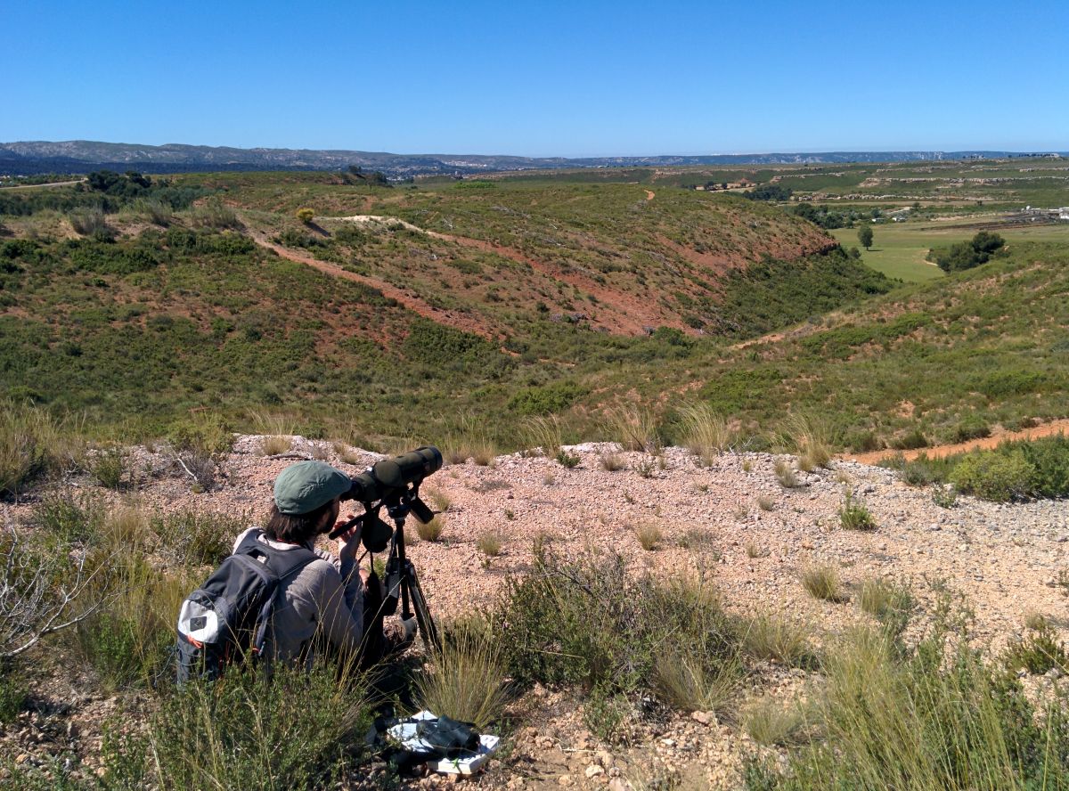 Point d'observation des rapaces - Aurelie Johanet