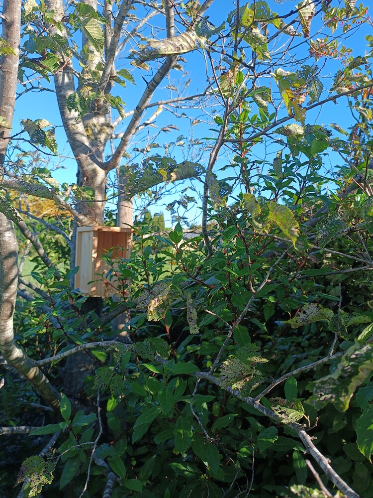 pose nichoirs fac agroparc johanet 2