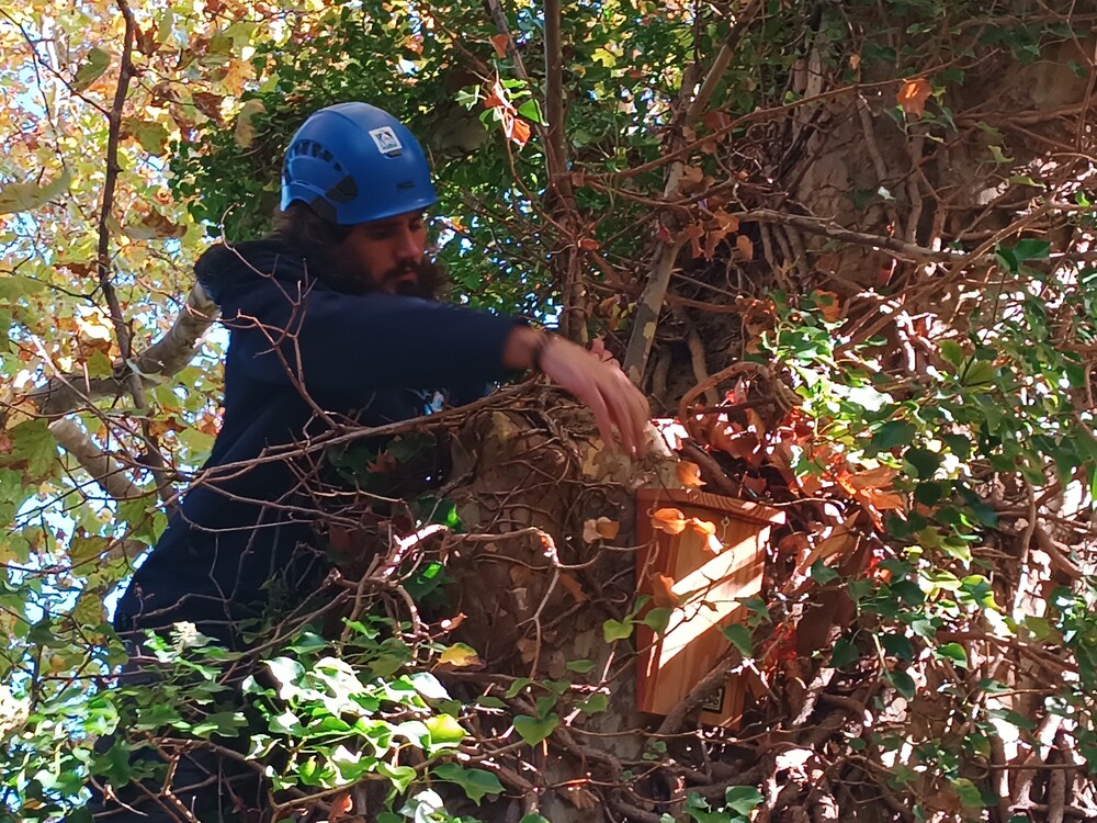 pose nichoirs fac agroparc johanet 3
