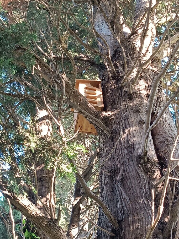 pose nichoirs fac agroparc johanet 4