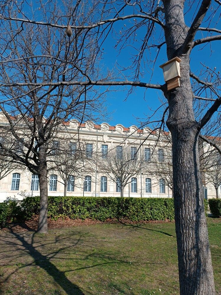 pose nichoirs fac intramuros johanet 1