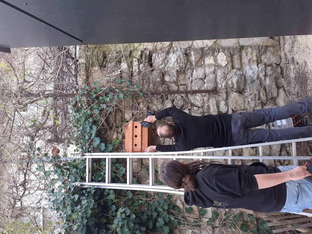 pose nichoirs fac intramuros nguyen 1