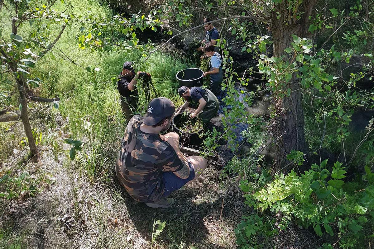 Chantier de régulation du Myriophylle du Brésil - Marion Fouchard