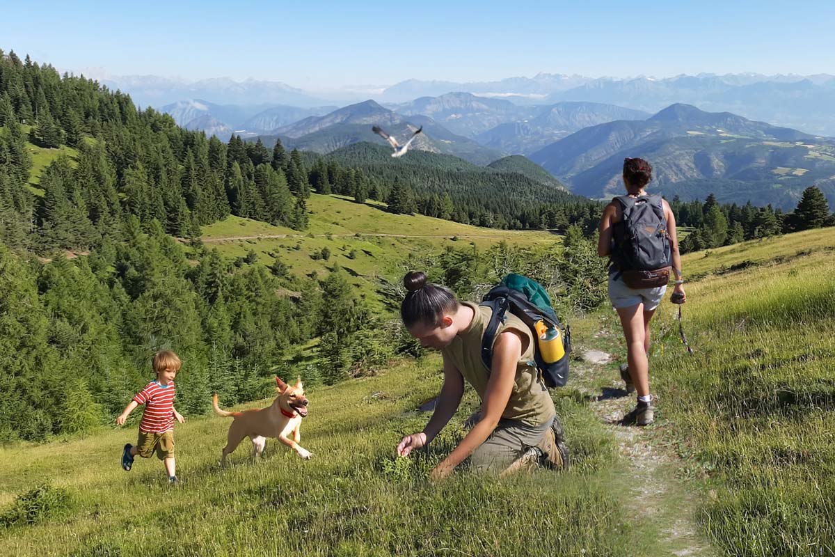 Scène de dérangement de la faune, lors d'une sortie en montagne - Image d'illustration - LPO PACA