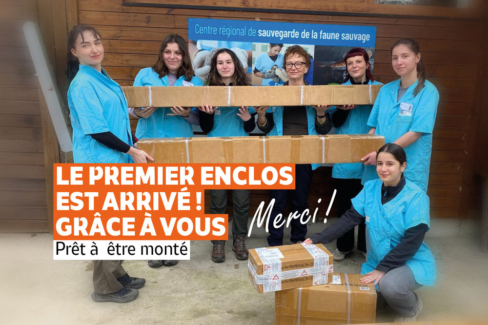 Opération hérissons : réception du premier enclos - CRSFS