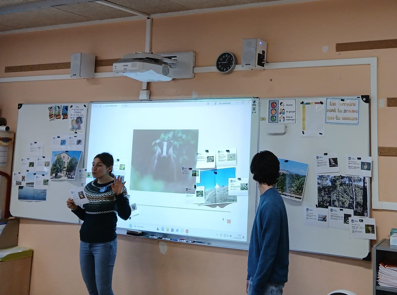 jeu des différent habitat