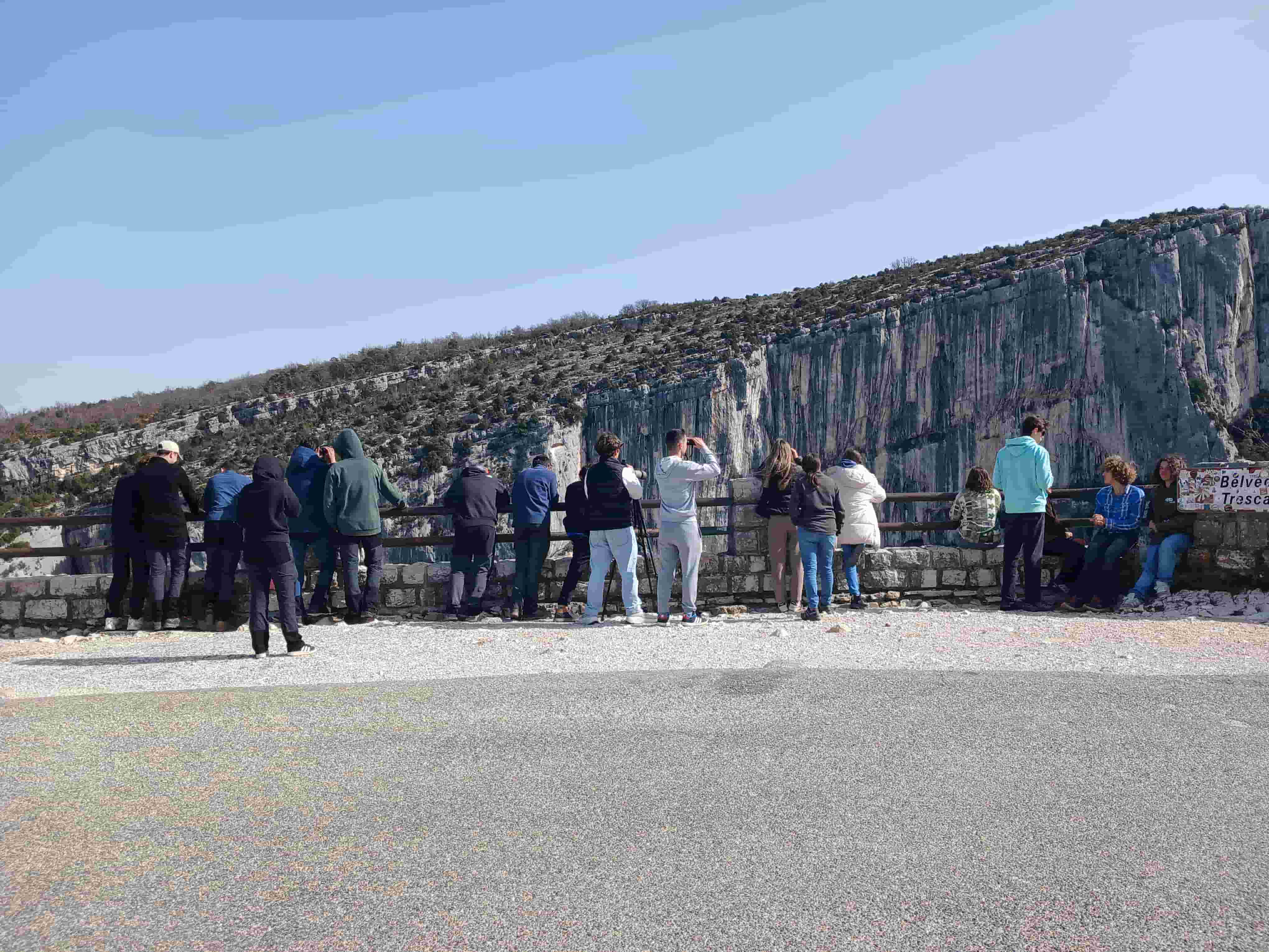 Observation ornithologique © LPO PACA