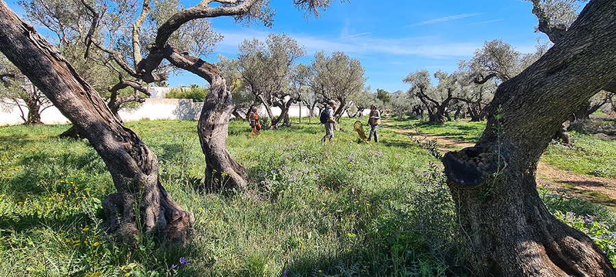 Prospections (c) Marion Fouchard