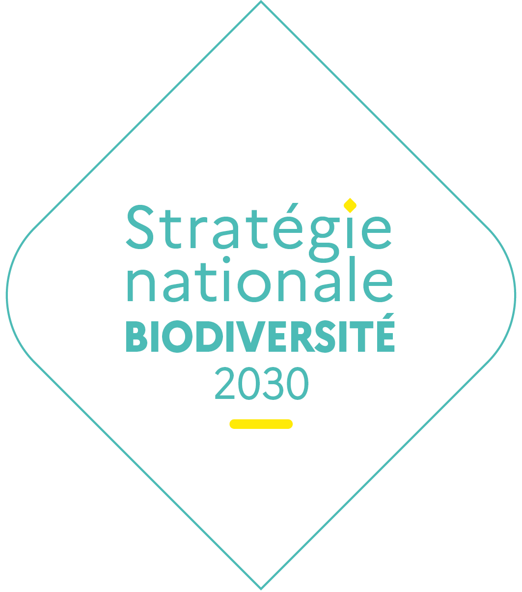 23112 snb logo fond blanc v1