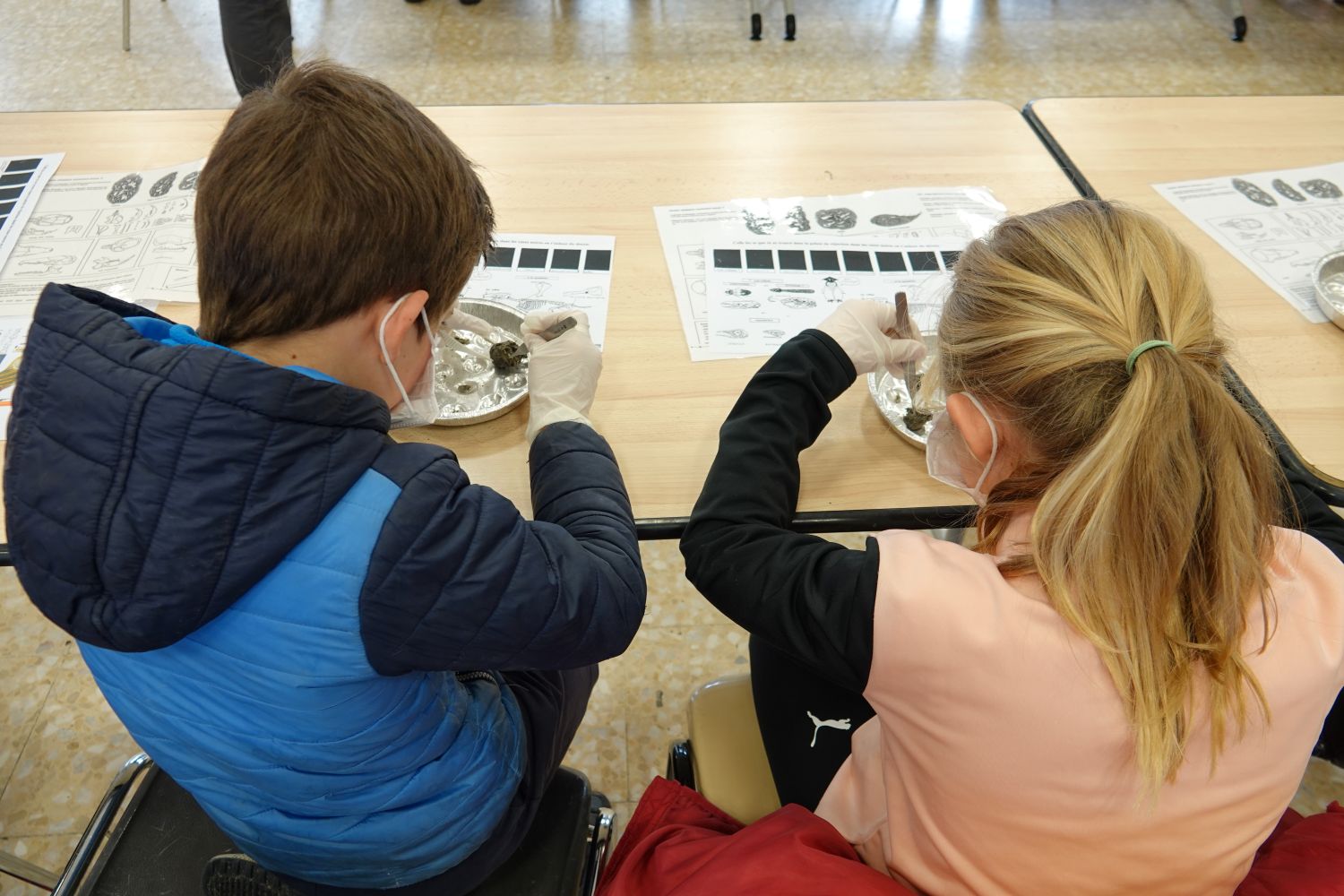 Animation pelotes de réjection © Anaëlle Francia