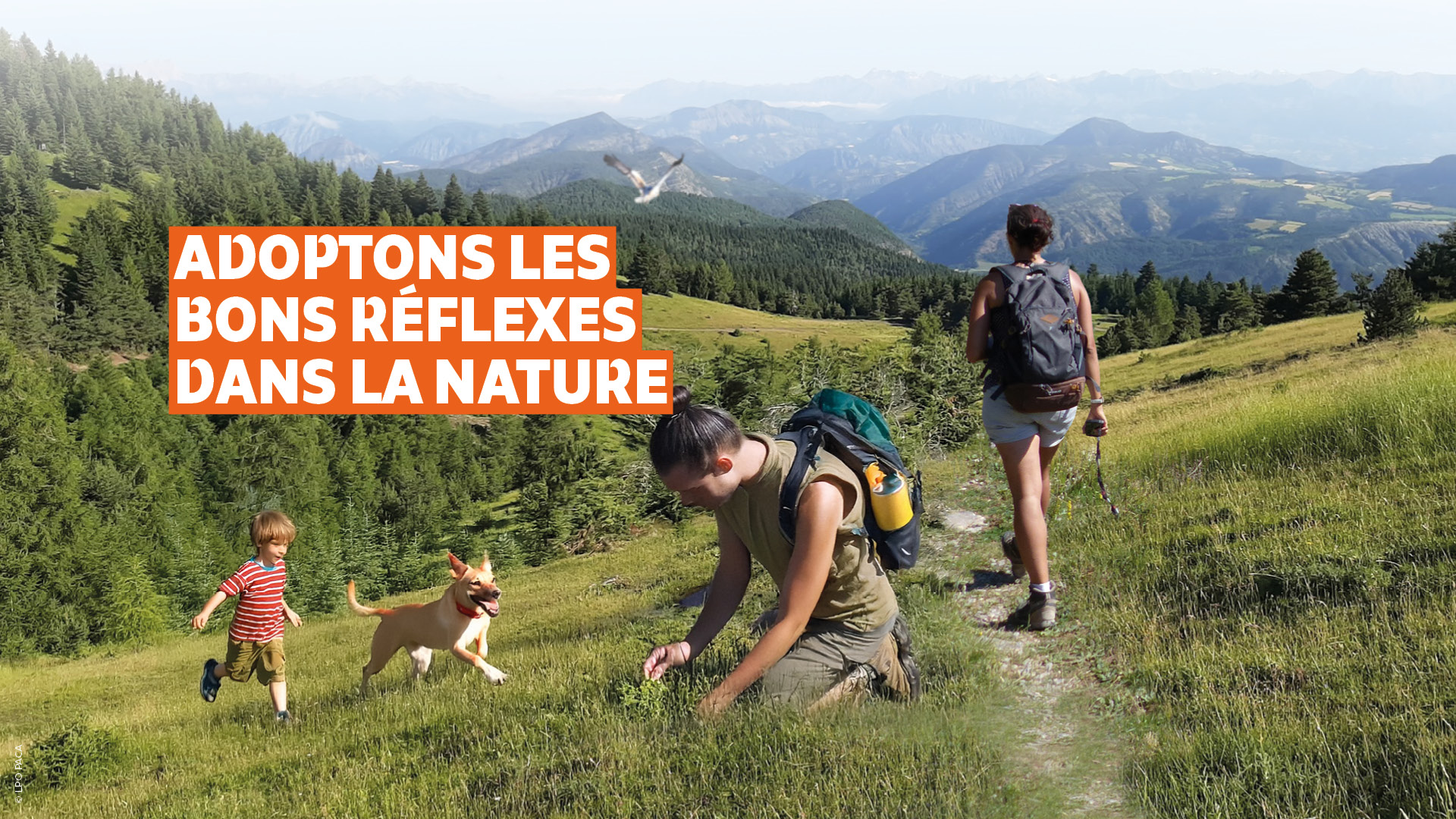 Scène de dérangement de la faune, lors d'une sortie en montagne - Image d'illustration - LPO PACA