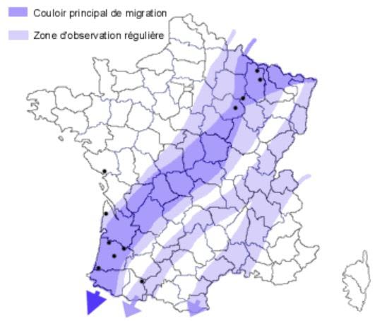 Carte du couloir migratoire de la Grue cendrée (Grus grus) en France © LPO Champagne-Ardenne