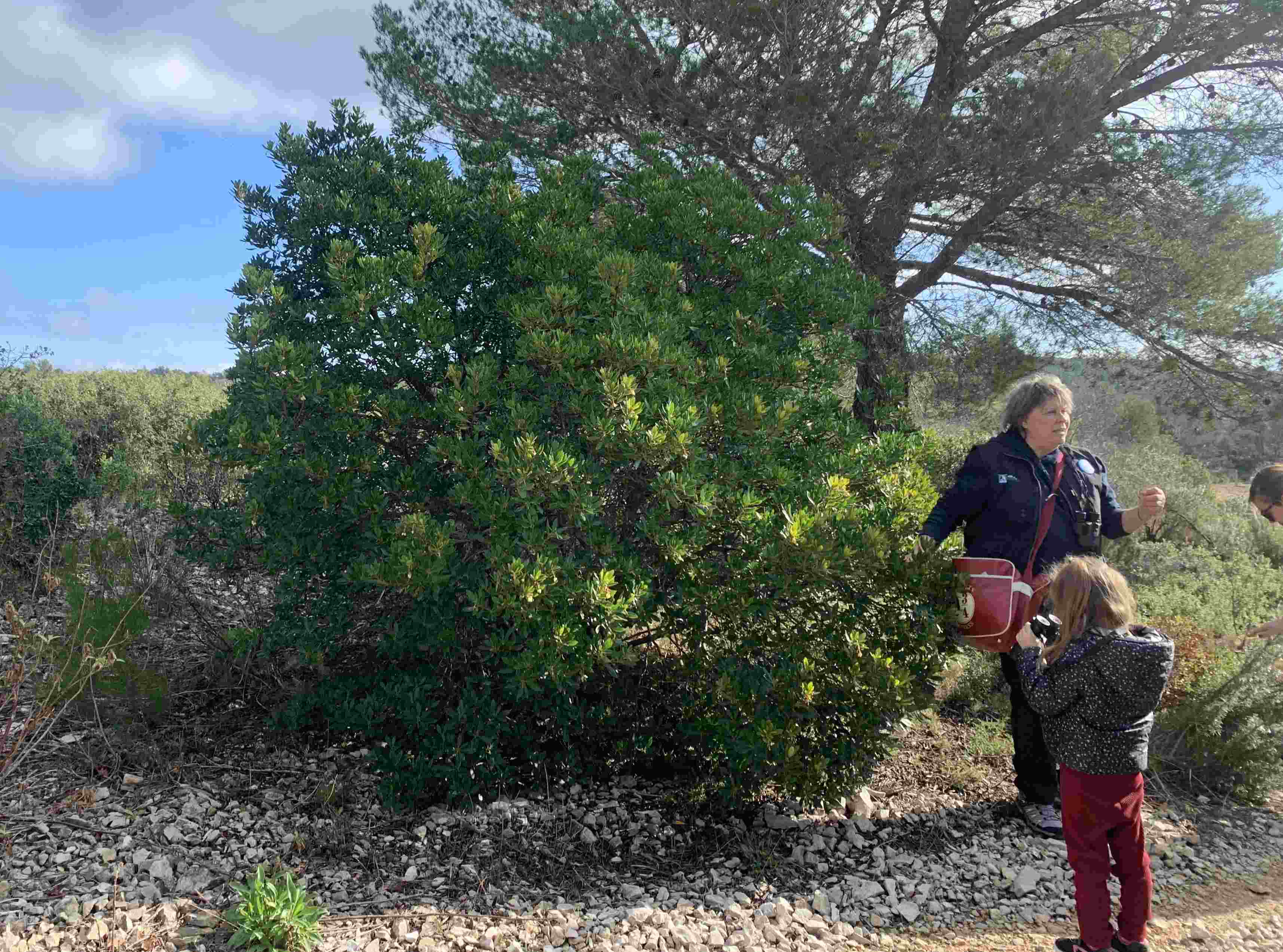 sortie nature begude 25-02-26