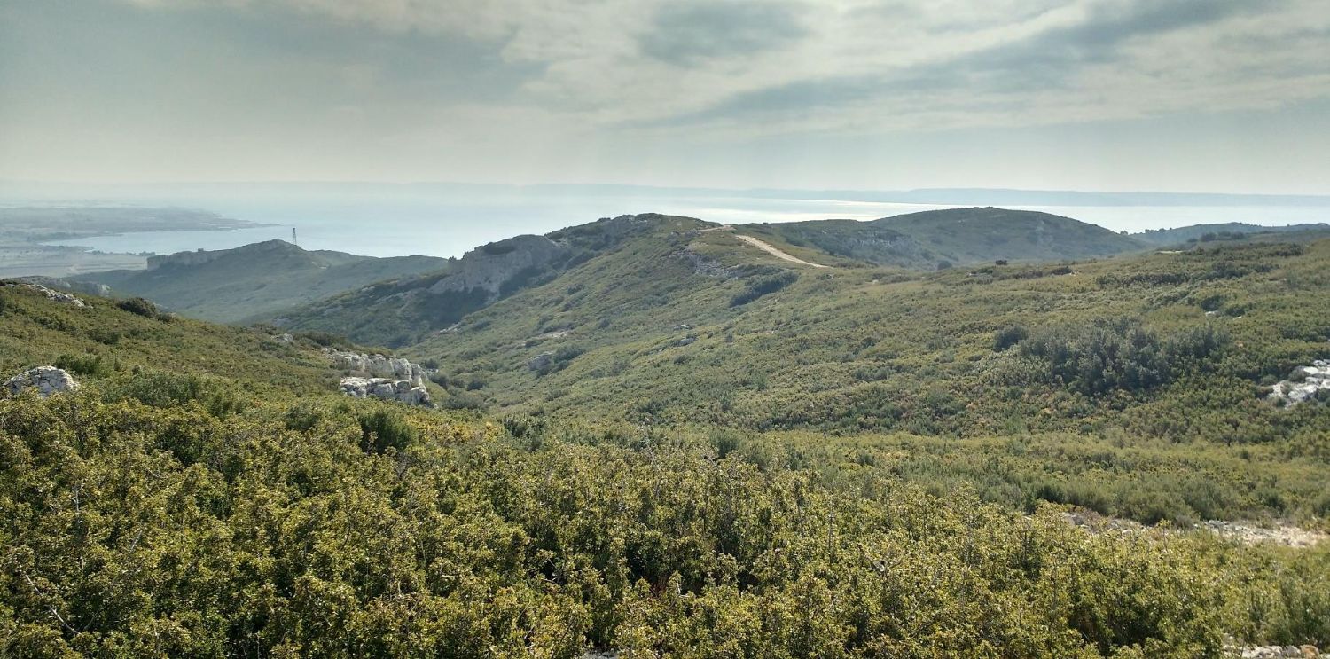 Garrigues de Lançon © Thomas GIRARD