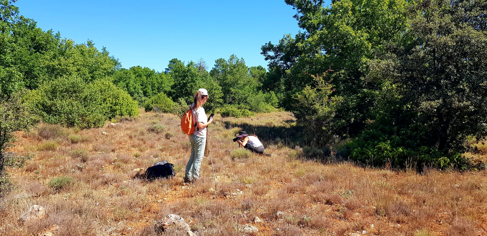 Inventaires Inventaires