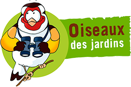 Logo comptage oiseaux des jardins